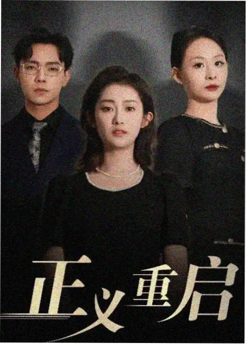 阿姨的账本短剧海报